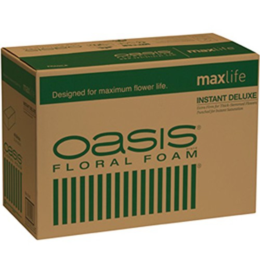 Oasis Instant Deluxe Floral Fo - Floral Foam Oasis บทวิจารณ์และราคา